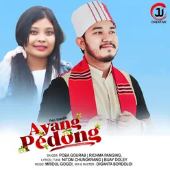 Ayang Pedong